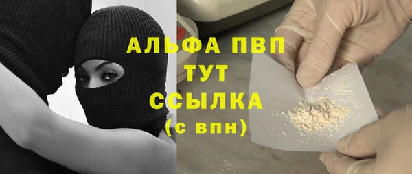 крисы Алексин