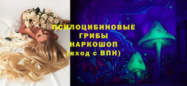 дурь Алзамай