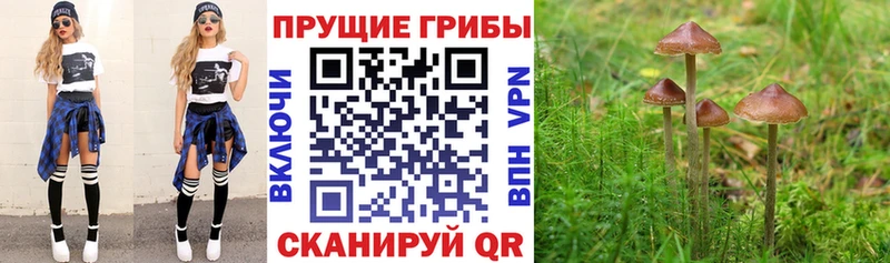 Псилоцибиновые грибы ЛСД  как найти закладки  Кызыл 